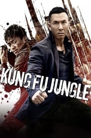 Kung Fu Jungle 2014