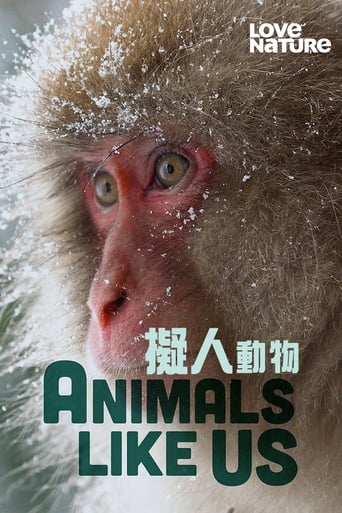 دانلود سریال Animals Like Us 2024 (حیوانات شبیه ما)