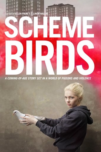 دانلود فیلم Scheme Birds 2019