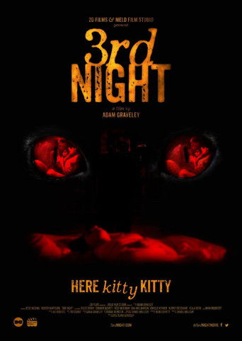 دانلود فیلم 3rd Night 2017