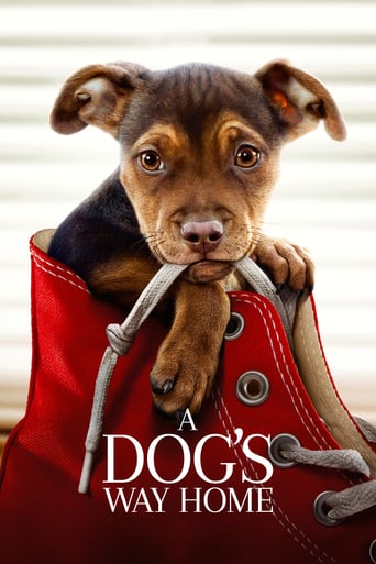 دانلود فیلم A Dog's Way Home 2019 (مسیر بازگشت یک سگ به خانه)