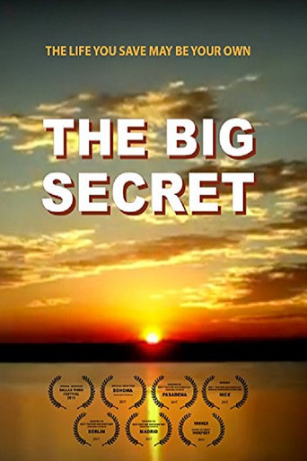 دانلود فیلم The Big Secret 2016