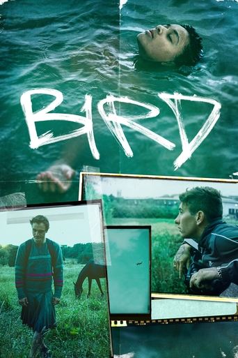 دانلود فیلم Bird 2024 (پرنده)
