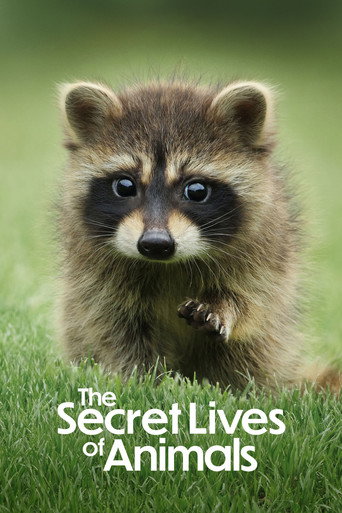 دانلود سریال The Secret Lives of Animals 2024 (زندگی‌های پنهان حیوانات)