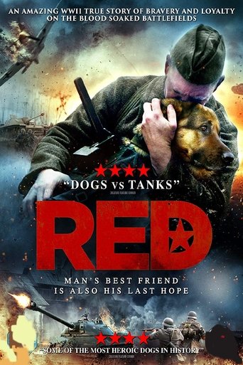 دانلود فیلم Red Dog 2017